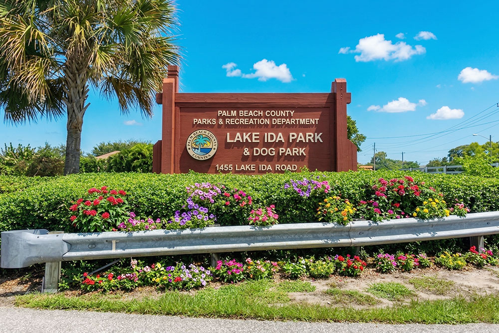 Lake Ida Real Estate Agent